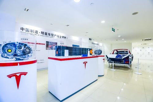 管中窺豹 上海超級工廠主題展登陸山城，揭秘特斯拉硬核科技與重慶心理咨詢跨界融合
